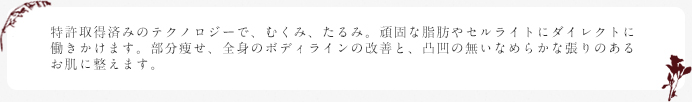 特許取得済みのテクノロジーで、むくみ、たるみ。頑固な脂肪やセルライトにダイレクトに働きかけます。部分痩せ、全身のボディラインの改善と、凸凹の無いなめらかな張りのあるお肌に整えます。