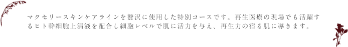 マクセリースキンケアラインを贅沢に使用した特別コースです。再生医療の現場でも活躍するヒト幹細胞上清液を配合し細胞レベルで肌に活力を与え、再生力の宿る肌に導きます。