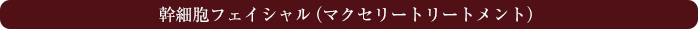 幹細胞フェイシャル（マクセリートリートメント）