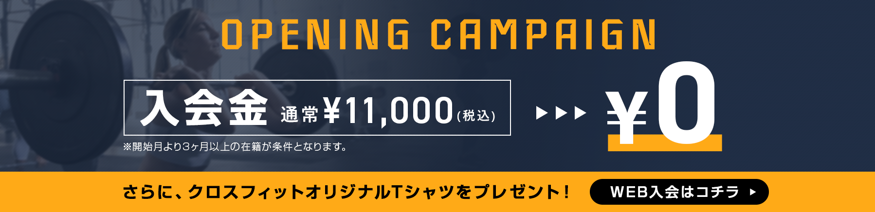 OPENING CAMPAIGN