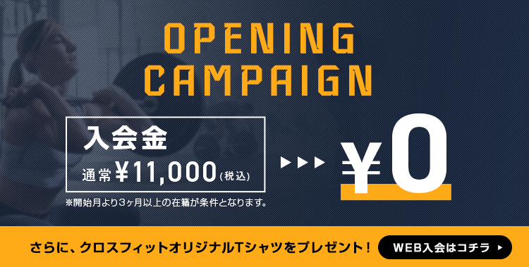 OPENING CAMPAIGN