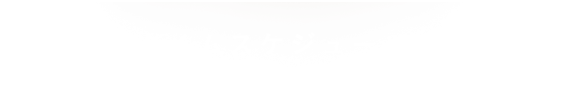 タイムスケジュール(PDF)
